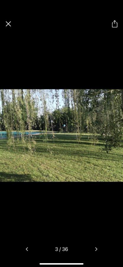 Apartament Casa Orma Rapolano Terme Zewnętrze zdjęcie